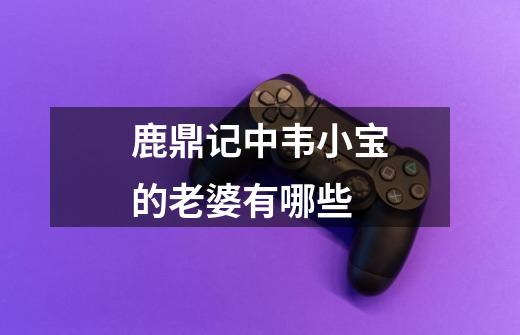 鹿鼎记中韦小宝的老婆有哪些-第1张-游戏信息-龙启网