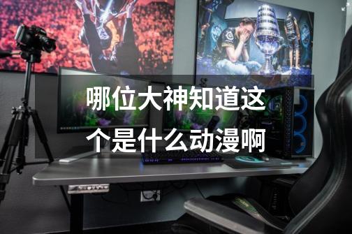 哪位大神知道这个是什么动漫啊-第1张-游戏信息-龙启网