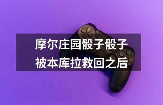 摩尔庄园骰子骰子被本库拉救回之后-第1张-游戏信息-龙启网
