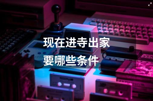 现在进寺出家要哪些条件-第1张-游戏信息-龙启网