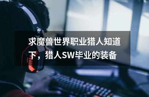 求魔兽世界职业猎人知道下,猎人SW毕业的装备-第1张-游戏信息-龙启网