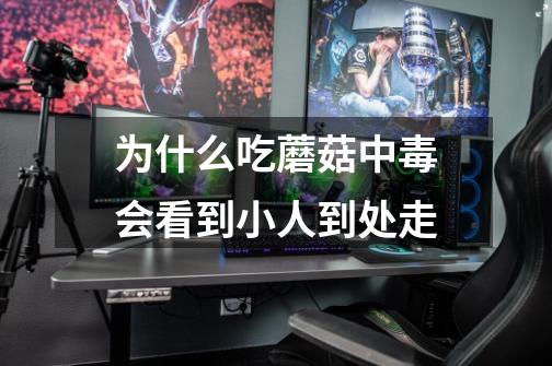 为什么吃蘑菇中毒会看到小人到处走-第1张-游戏信息-龙启网