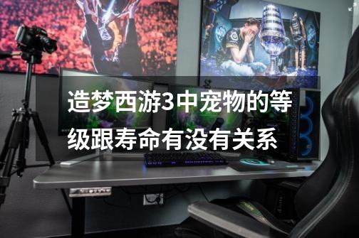 造梦西游3中宠物的等级跟寿命有没有关系-第1张-游戏信息-龙启网