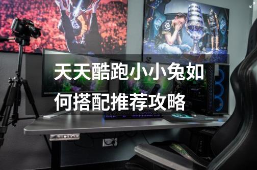 天天酷跑小小兔如何搭配推荐攻略-第1张-游戏信息-龙启网