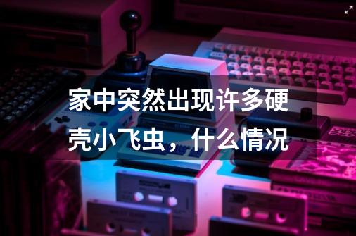 家中突然出现许多硬壳小飞虫,什么情况-第1张-游戏信息-龙启网