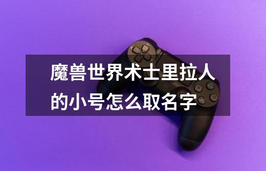 魔兽世界术士里拉人的小号怎么取名字-第1张-游戏信息-龙启网