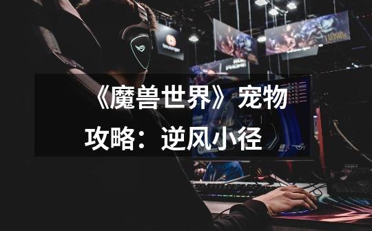 《魔兽世界》宠物攻略:逆风小径-第1张-游戏信息-龙启网