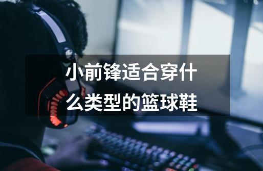 小前锋适合穿什么类型的篮球鞋-第1张-游戏信息-龙启网