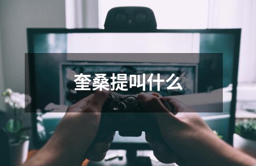 奎桑提叫什么-第1张-游戏信息-龙启网