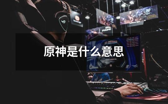 原神是什么意思-第1张-游戏信息-龙启网