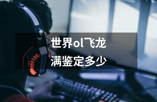 世界ol飞龙满鉴定多少-第1张-游戏信息-龙启网