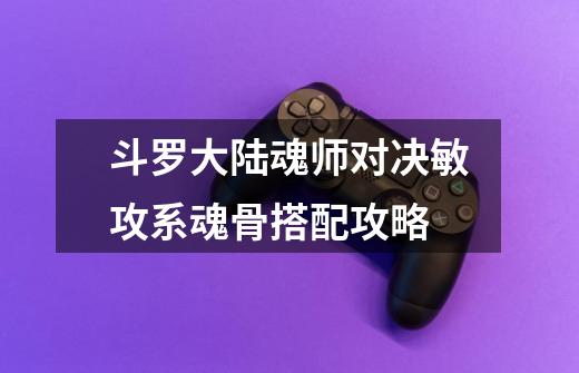 斗罗大陆魂师对决敏攻系魂骨搭配攻略-第1张-游戏信息-龙启网