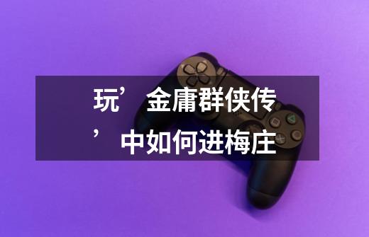 玩’金庸群侠传’中如何进梅庄-第1张-游戏信息-龙启网