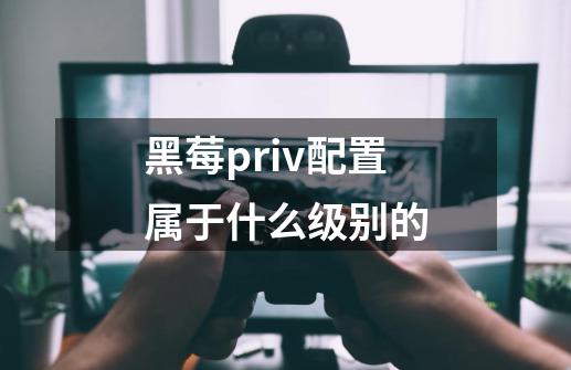 黑莓priv配置属于什么级别的-第1张-游戏信息-龙启网