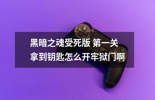 黑暗之魂受死版 第一关拿到钥匙怎么开牢狱门啊-第1张-游戏信息-龙启网
