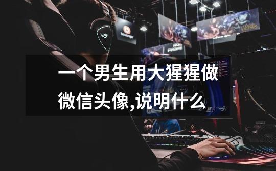 一个男生用大猩猩做微信头像,说明什么-第1张-游戏信息-龙启网
