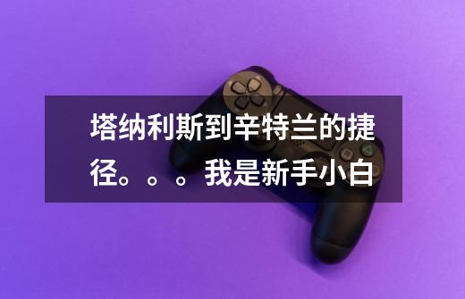 塔纳利斯到辛特兰的捷径。。。我是新手小白-第1张-游戏信息-龙启网