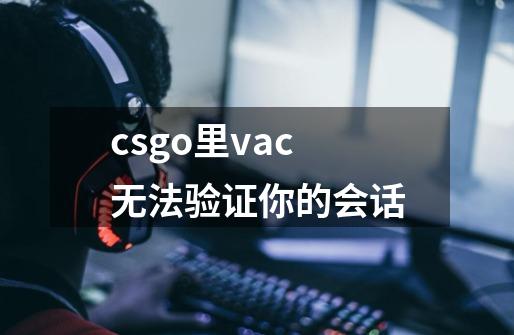 csgo里vac无法验证你的会话-第1张-游戏信息-龙启网
