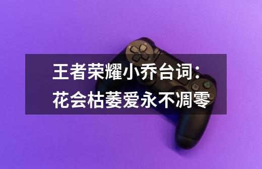王者荣耀小乔台词：花会枯萎爱永不凋零-第1张-游戏信息-龙启网