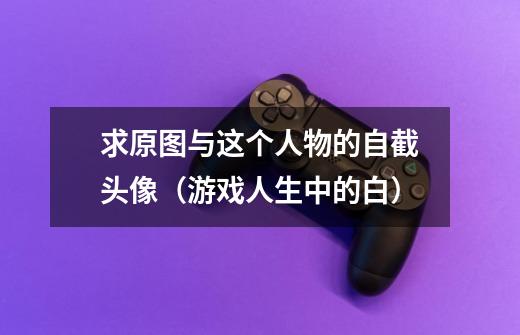 求原图与这个人物的自截头像（游戏人生中的白）-第1张-游戏信息-龙启网