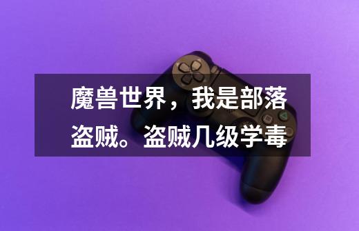 魔兽世界,我是部落盗贼。盗贼几级学毒-第1张-游戏信息-龙启网