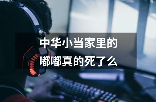 中华小当家里的嘟嘟真的死了么-第1张-游戏信息-龙启网