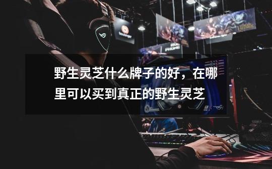 野生灵芝什么牌子的好,在哪里可以买到真正的野生灵芝-第1张-游戏信息-龙启网