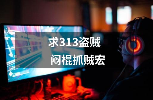 求3.13盗贼 闷棍抓贼宏-第1张-游戏信息-龙启网