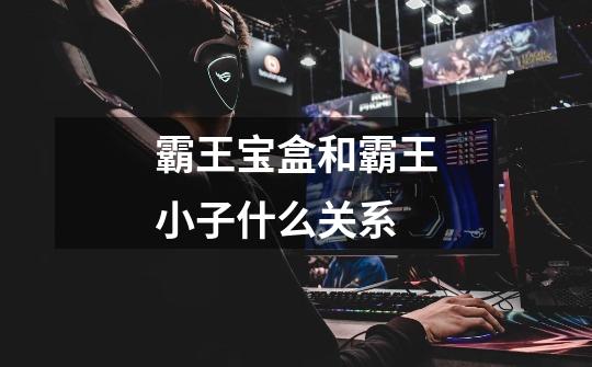 霸王宝盒和霸王小子什么关系-第1张-游戏信息-龙启网