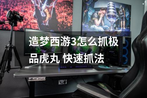造梦西游3怎么抓极品虎丸 快速抓法-第1张-游戏信息-龙启网