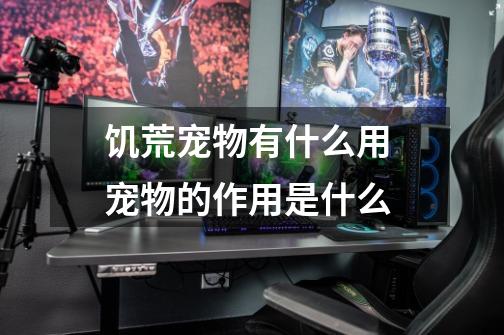 饥荒宠物有什么用 宠物的作用是什么-第1张-游戏信息-龙启网