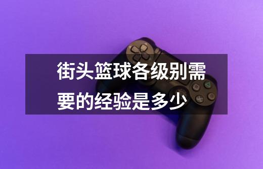 街头篮球各级别需要的经验是多少-第1张-游戏信息-龙启网