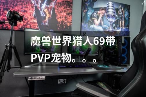 魔兽世界猎人69带PVP宠物。。。-第1张-游戏信息-龙启网