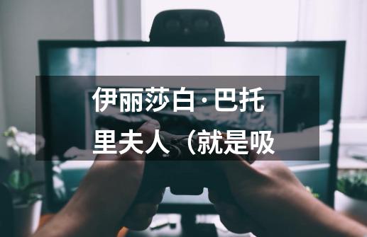 伊丽莎白·巴托里夫人(就是吸-第1张-游戏信息-龙启网