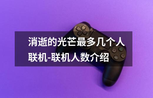 消逝的光芒最多几个人联机-联机人数介绍-第1张-游戏信息-龙启网