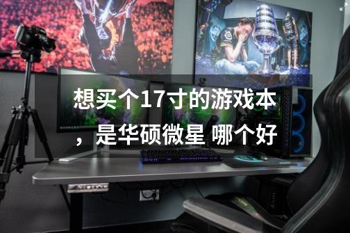 想买个17寸的游戏本,是华硕微星 哪个好-第1张-游戏信息-龙启网