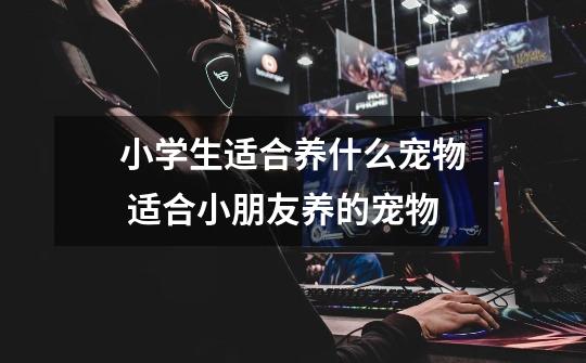 小学生适合养什么宠物 适合小朋友养的宠物-第1张-游戏信息-龙启网