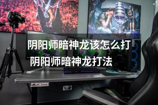 阴阳师暗神龙该怎么打 阴阳师暗神龙打法-第1张-游戏信息-龙启网