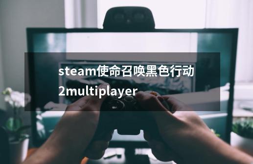 steam使命召唤黑色行动2multiplayer-第1张-游戏信息-龙启网