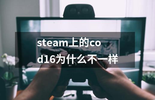 steam上的cod16为什么不一样-第1张-游戏信息-龙启网