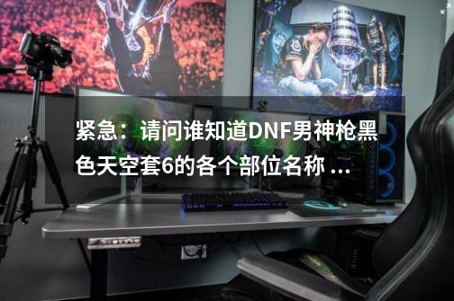 紧急:请问谁知道DNF男神枪黑色天空套6的各个部位名称 我天空被分解了想找回得提供名称但是我都忘记了-第1张-游戏信息-龙启网
