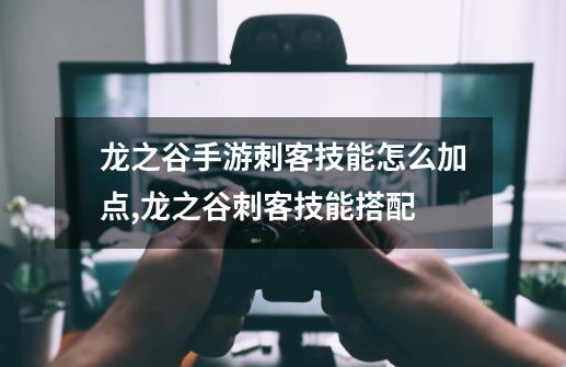 龙之谷手游刺客技能怎么加点,龙之谷刺客技能搭配-第1张-游戏信息-龙启网