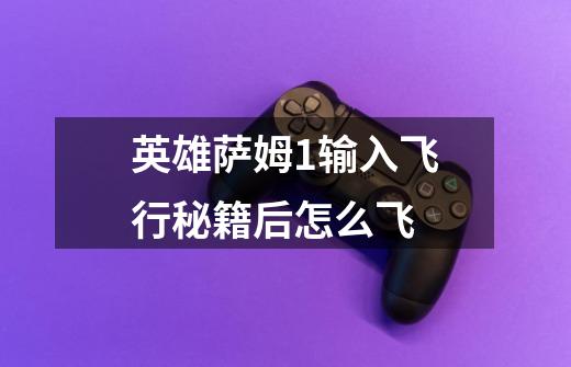 英雄萨姆1输入飞行秘籍后怎么飞-第1张-游戏信息-龙启网