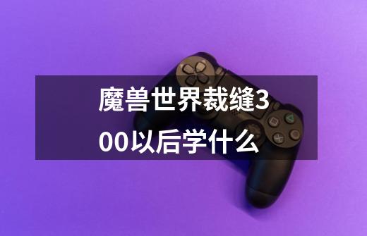 魔兽世界裁缝300以后学什么-第1张-游戏信息-龙启网