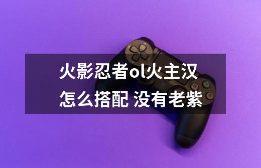 火影忍者ol火主汉怎么搭配 没有老紫-第1张-游戏信息-龙启网