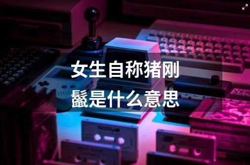 女生自称猪刚鬣是什么意思-第1张-游戏信息-龙启网