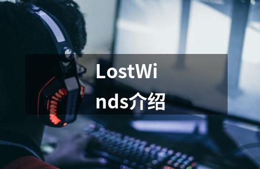 LostWinds介绍-第1张-游戏信息-龙启网