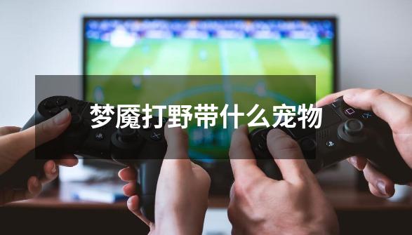 梦魇打野带什么宠物-第1张-游戏信息-龙启网