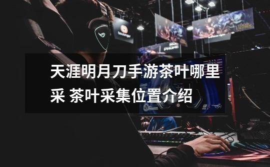 天涯明月刀手游茶叶哪里采 茶叶采集位置介绍-第1张-游戏信息-龙启网