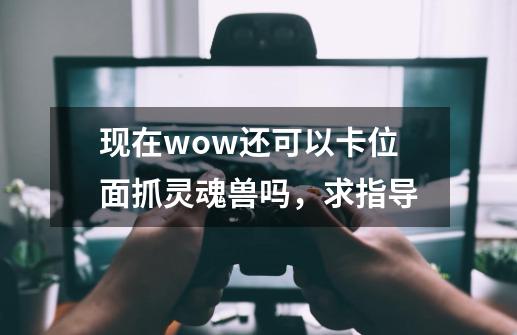 现在wow还可以卡位面抓灵魂兽吗，求指导-第1张-游戏信息-龙启网
